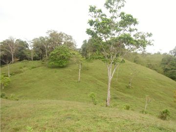 Se VENDE Finca en La Pintada, Coclé