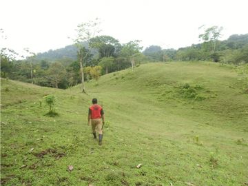 Se VENDE Finca en La Pintada, Coclé
