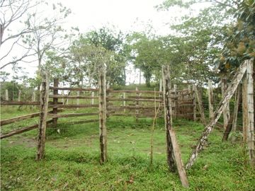 Se VENDE Finca en La Pintada, Coclé