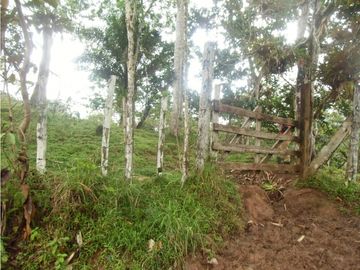 Se VENDE Finca en La Pintada, Coclé