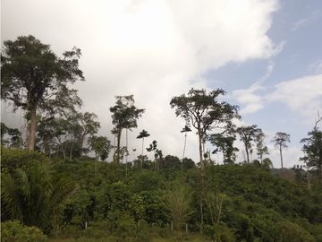 Se VENDE Finca en La Pintada, Coclé