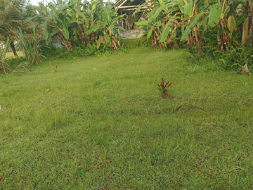 Land for sale in Ubud, Bali