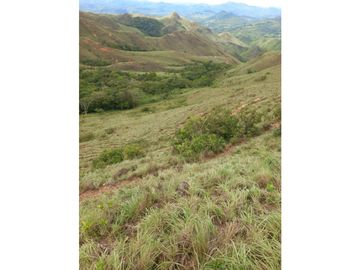 Venta de Terreno en Penonomè - La Pintada