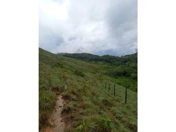 Venta de Terreno en Penonomè - La Pintada