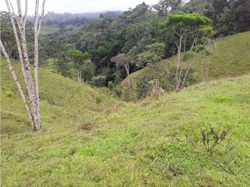 VENTA FINCA LLANO GRANDE