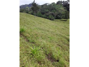 VENTA FINCA LLANO GRANDE