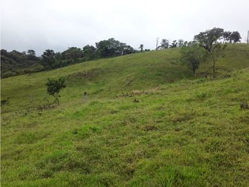 VENTA FINCA LLANO GRANDE