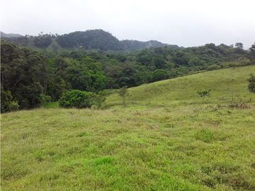 VENTA FINCA LLANO GRANDE