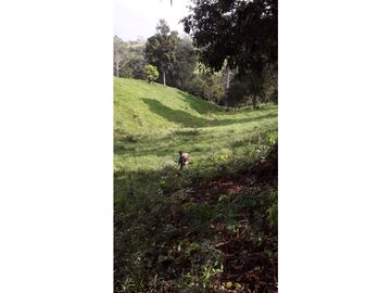 VENTA FINCA LLANO GRANDE