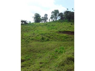VENTA FINCA LLANO GRANDE