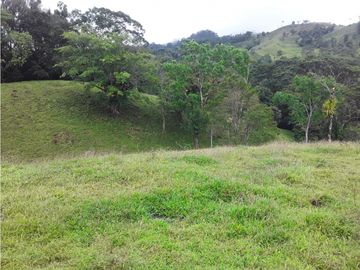 VENTA FINCA LLANO GRANDE