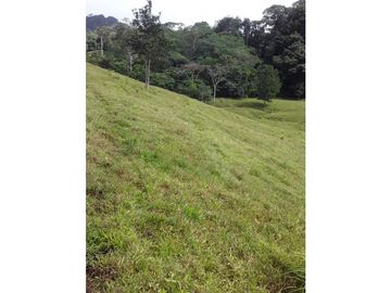 VENTA FINCA LLANO GRANDE