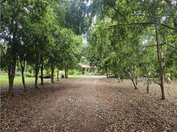 Se vende finca comercial en Penonomé de 1.4 has.