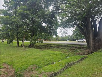 Se vende finca comercial en Penonomé de 1.4 has.