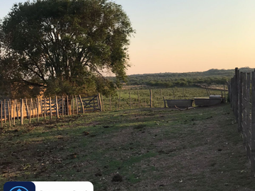 ATENCIÓN/ CAMPO EN VENTA: CASA PRINCIPAL + GALPÓN + 18 HAS