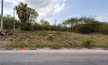 Terrenos en Venta en Sin Colonia