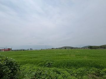 Terreno en Venta, Colonia Montemorelos, Nuevo León
