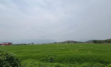 Terreno en Venta, Colonia Montemorelos, Nuevo León