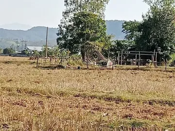 2 Bedroom House for sale in Ban Bom, Lampang
