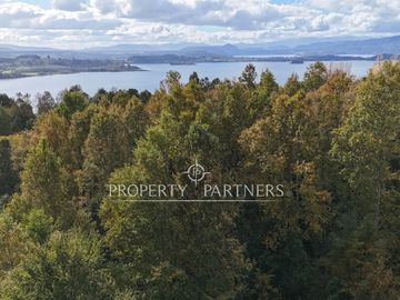 Parcela con vista al Lago Panguipulli y Volcán Villarrica - Playa Monje