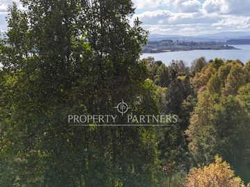Parcela con vista al Lago Panguipulli y Volcán Villarrica - Playa Monje