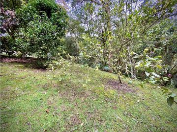 Venta Casa Chalet Holandes Independiente a 8 minutos de Llanogrande