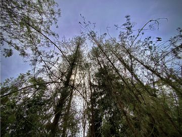 Venta Casa Chalet Holandes Independiente a 8 minutos de Llanogrande