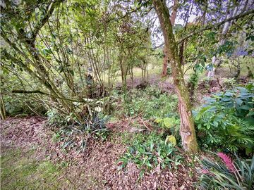 Venta Casa Chalet Holandes Independiente a 8 minutos de Llanogrande