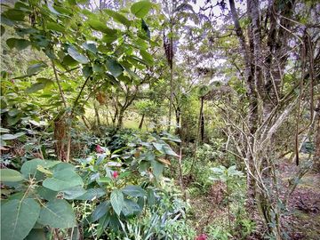 Venta Casa Chalet Holandes Independiente a 8 minutos de Llanogrande