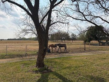 Rancho En Venta, Allende, Nuevo León.
