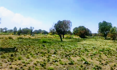 Venta de Terreno en Ciudad  Industrial Xicohténcatl, Tlaxcala