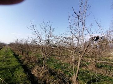 Parcela en venta  en REQUINOA
