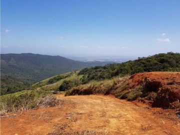 REBAJADO VENDO TERRENO CERRO AZUL 200  Ha