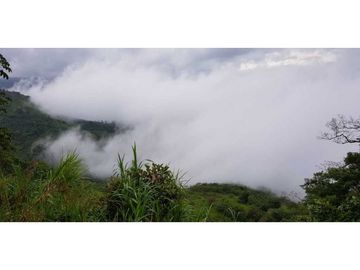 REBAJADO VENDO TERRENO CERRO AZUL 200  Ha
