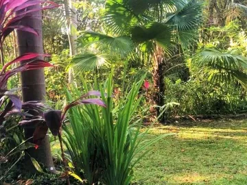 Land for sale in Pererenan, Bali