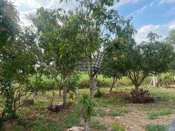 FOR SELL House Kanokkull 3 Khlong 14  CX-159855