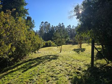 Extraordinario terreno de 1 hectárea con vista al Lago Llanquihue, Frutillar Bajo