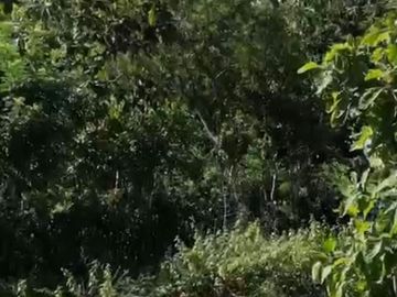 Land for sale in Uluwatu, Bali