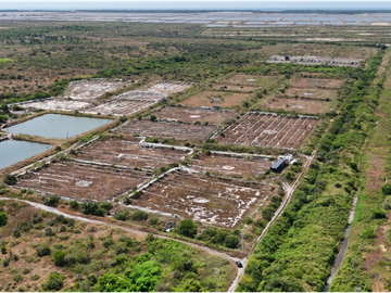 Huaquillas, El Oro, Venta terreno para camaronera 48.258 m2 5 piscinas