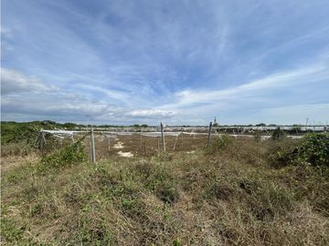 Huaquillas, El Oro, Venta terreno para camaronera 48.258 m2 5 piscinas