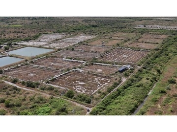 Huaquillas, El Oro, Venta terreno para camaronera 48.258 m2 5 piscinas