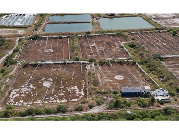 Huaquillas, El Oro, Venta terreno para camaronera 48.258 m2 5 piscinas