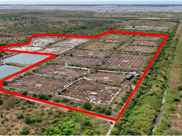 Huaquillas, El Oro, Venta terreno para camaronera 48.258 m2 5 piscinas