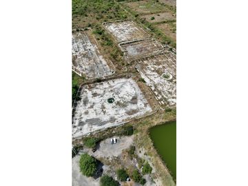 Huaquillas, El Oro, Venta terreno para camaronera 48.258 m2 5 piscinas