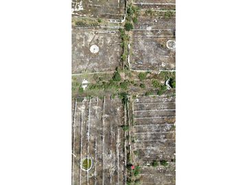 Huaquillas, El Oro, Venta terreno para camaronera 48.258 m2 5 piscinas