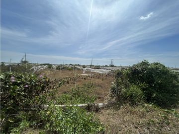 Huaquillas, El Oro, Venta terreno para camaronera 48.258 m2 5 piscinas