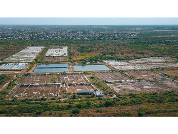 Huaquillas, El Oro, Venta terreno para camaronera 48.258 m2 5 piscinas