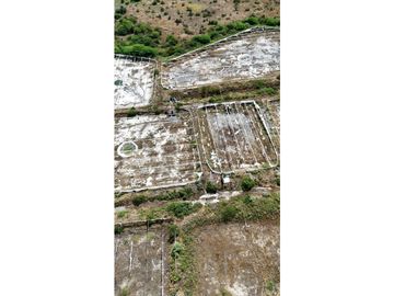 Huaquillas, El Oro, Venta terreno para camaronera 48.258 m2 5 piscinas