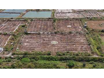 Huaquillas, El Oro, Venta terreno para camaronera 48.258 m2 5 piscinas
