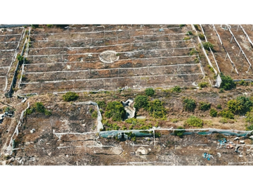 Huaquillas, El Oro, Venta terreno para camaronera 48.258 m2 5 piscinas